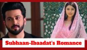 Rabb Se Hai Dua Upcoming Twist: Subhaan and Ibaadat's cute romance; snake drama during Dadi Ammi's birthday celebration 924973