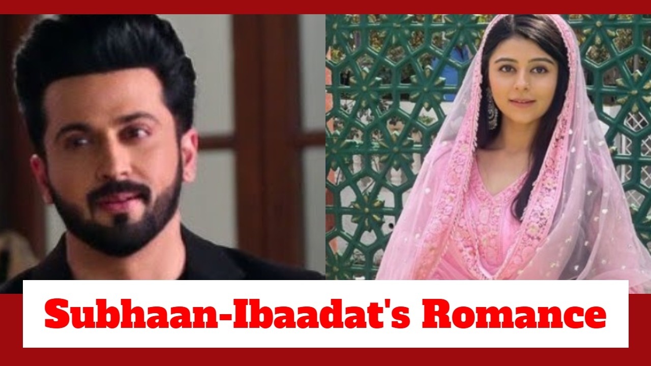 Rabb Se Hai Dua Upcoming Twist: Subhaan and Ibaadat's cute romance; snake drama during Dadi Ammi's birthday celebration 924973