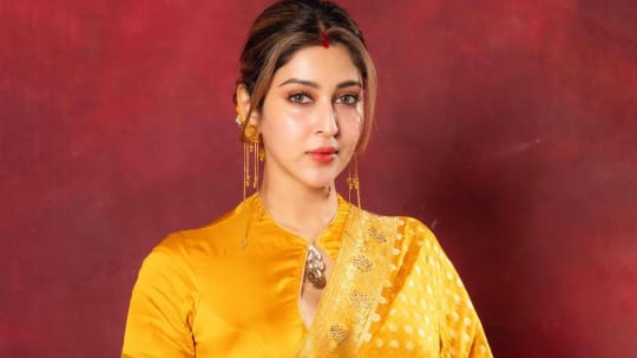 Sonarika Bhadoria's Style Evolution: From Bold Looks to Traditional Elegance 925212