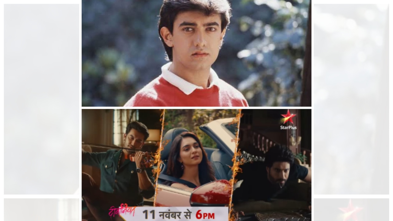 Superstar Aamir Khan Is All Cheers For His Sister Nikhat Khan As He Sends His Best Wishes For Her Upcoming Star Plus Show Deewaniyat! Deets Inside- 925245