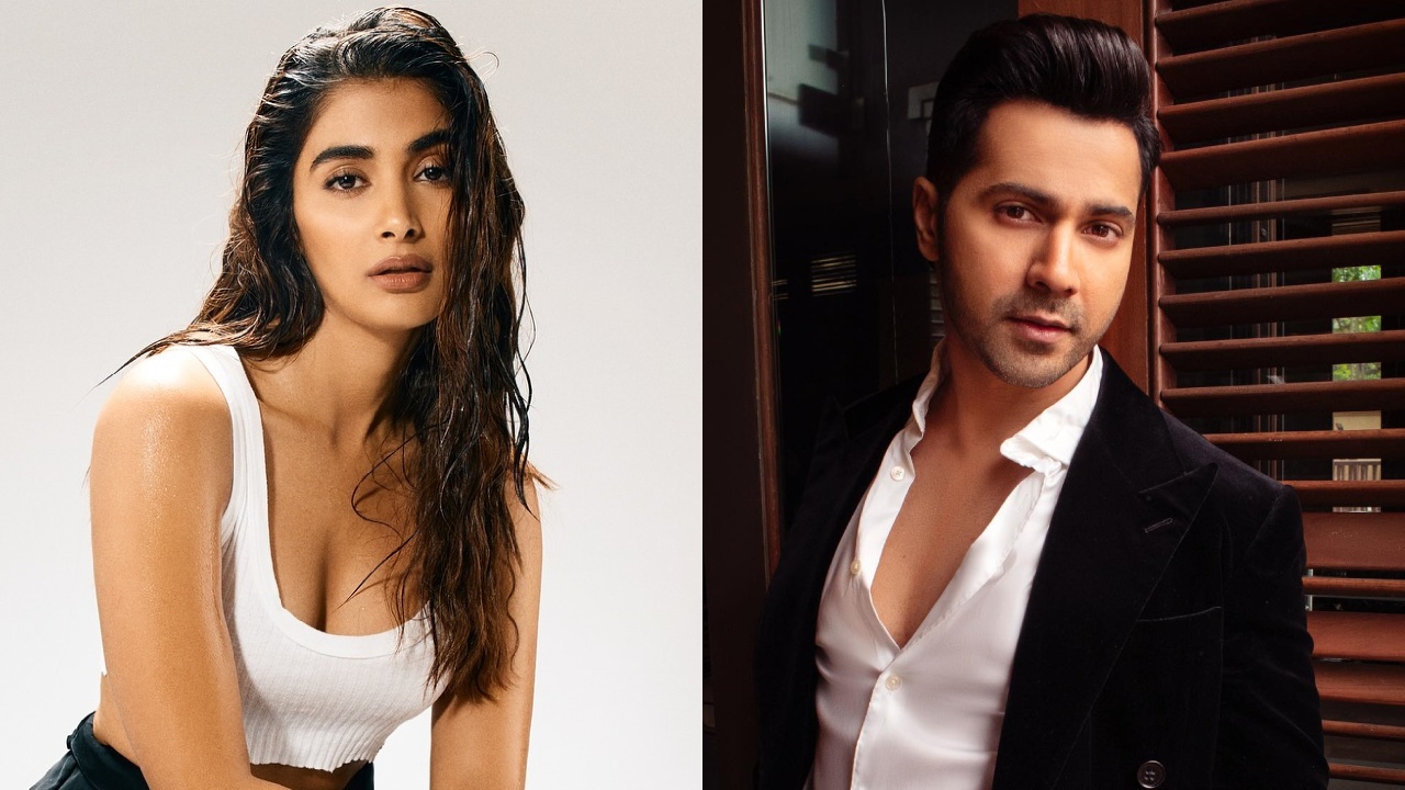 Varun Dhawan's 'mothering' comment on Pooja Hegde's post sparks curiosity 925216