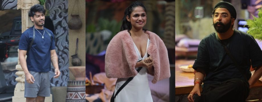 Vivian Dsena as postman fuels intense rivalries in Bigg Boss 18’s Nomination Special 925455