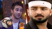 Bhagya Lakshmi Serial Spoiler: Rishi Saves Lakshmi From Accident, Aayush Worried