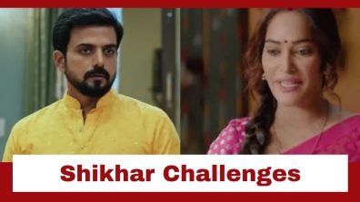 Bas Itna Sa Khwaab Upcoming Twist: Shikhar challenges Avani to fulfil their dreams; will Avani realize her potential?