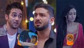 Bhagya Lakshmi Serial Spoiler: Lakshmi Jumps Off The Cliff, Aayush Warns Rishi