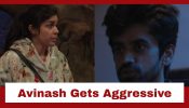 Bigg Boss 18: Eisha Singh’s confrontation provokes Avinash Mishra; Avinash gets aggressive in his anger