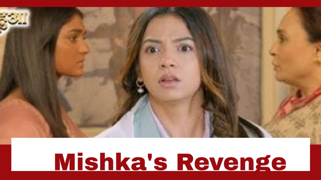 Dil Ko Tumse Pyaar Hua Upcoming Twist: Chirag refuses to marry Mishka; Mishka takes revenge 929121