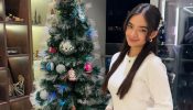 Anushka Sen Captures Christmas Spirit with a Chic Aesthetic Outfit