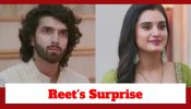 Jaane Anjaane Hum Mile Upcoming Twist: Reet’s surprise to Raghav goes wrong; Will Raghav recover from this setback?