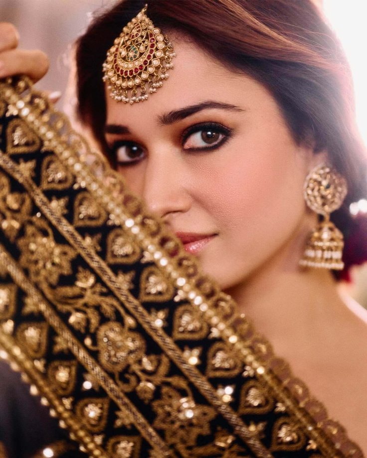 Tamannaah Bhatia's Makeup Looks That Define Glamour and Versatility 935057