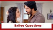 Udne Ki Aasha Upcoming Twist: Sachin sells his car; Sailee questions his act