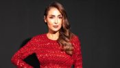 Malaika Arora Looks Red Hot In Backless Fishtail Gown- See Viral Photos