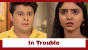 Taarak Mehta Ka Ooltah Chashmah Upcoming Twist: Bapuji and Bhide start the matchmaking process; Tapu and Sonu in trouble