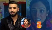 Bhagya Lakshmi Serial Spoiler: Lakshmi Goes Missing, Rishi, Shalu Aayush Seek Help