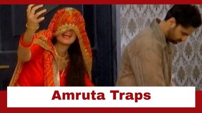 Kaise Mujhe Tum Mil Gaye Upcoming Twist: Amruta traps Abir in her plan; makes him run chores for the house