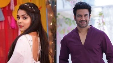 Niharika Chouksey And Sharad Kelkar Roped In For Zee TV’s Next Tum Se Tum Tak