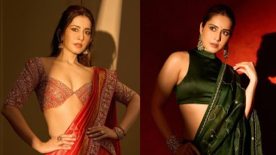 Raashii Khanna Never Fails To Impress With Her Blouse Style
