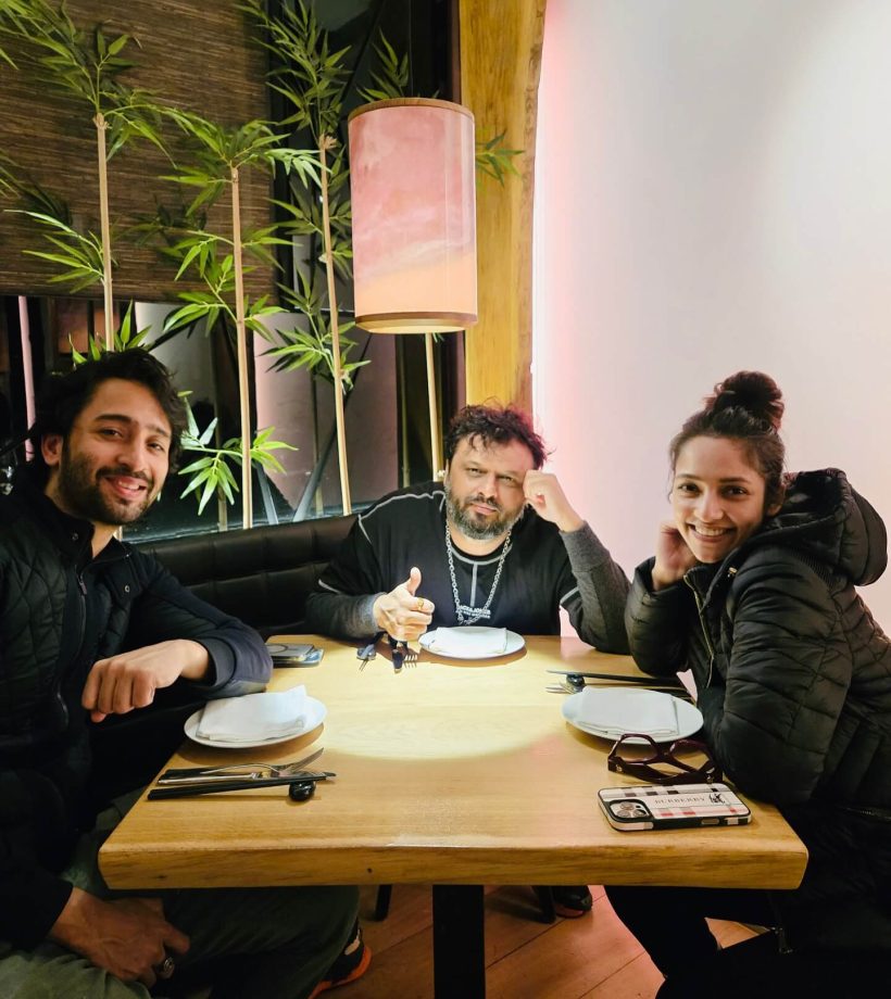 Susmita Chatterjee Hints at Collaboration with Shaheer Sheikh in Latest Post 942168