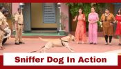 Taarak Mehta Ka Ooltah Chashmah Upcoming Twist: Chalu Pandey’s sniffer dog brought into action; Why is he after Popatlal?