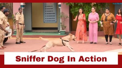 Taarak Mehta Ka Ooltah Chashmah Upcoming Twist: Chalu Pandey’s sniffer dog brought into action; Why is he after Popatlal?