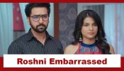 Udne Ki Aasha Upcoming Twist: Roshni taunts Sailee; gets embarrassed with Tejas' behaviour 942360