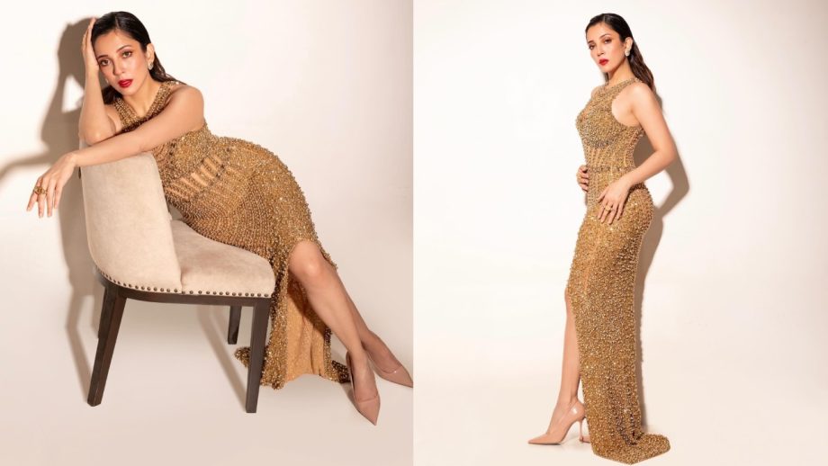 5 Times Barkha Singh Stunned on the Red Carpet with Her Beauty and Elegance 943024