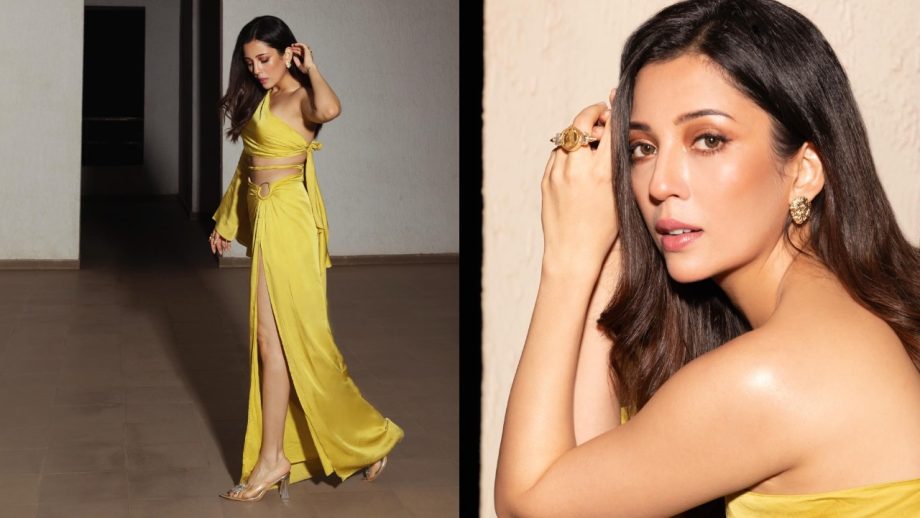 5 Times Barkha Singh Stunned on the Red Carpet with Her Beauty and Elegance 943020