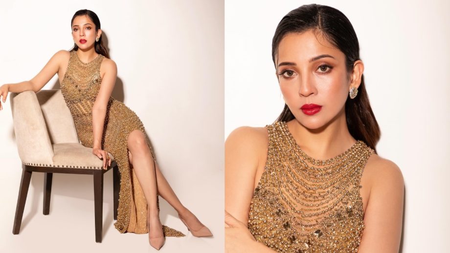 5 Times Barkha Singh Stunned on the Red Carpet with Her Beauty and Elegance 943022