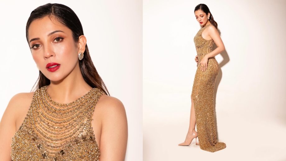 5 Times Barkha Singh Stunned on the Red Carpet with Her Beauty and Elegance 943023