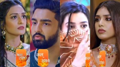 Bhagya Lakshmi Written Update 16 April 2025: Shanaya Instigates Malishka, Lakshmi Gets Good News