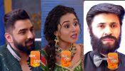 Bhagya Lakshmi Serial Spoiler: Rishi Teaches Neel A Lesson, Shalu Falls In Love With Aayush 945703