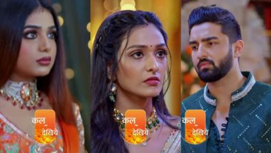 Bhagya Lakshmi Written Update 17 April 2025: Malishka Demands Rishi To Live With Her, Lakshmi Exposes Baby Truth