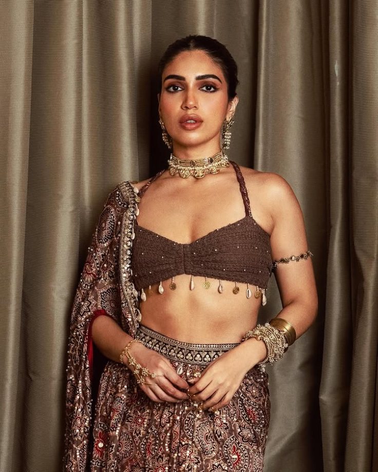 Bhumi Pednekar Turns Up the Glam in a Brown Traditional Ensemble 945118