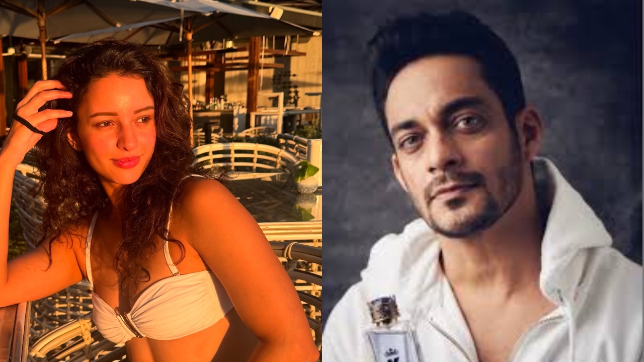 Did Sam Merchant Just Confirm Relationship with Triptii Dimri With Holiday Posts? 946215