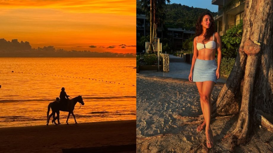 Did Sam Merchant Just Confirm Relationship with Triptii Dimri With Holiday Posts? 946209