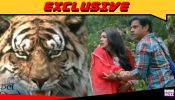 Exclusive: Cheetah spotted in the shoot vicinity of Megha Barsenge; outdoor shoot aborted 945540
