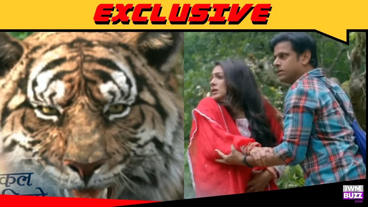 Exclusive: Cheetah spotted in the shoot vicinity of Megha Barsenge; outdoor shoot aborted 945540