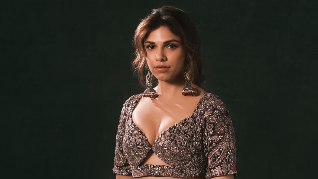 'Heeramandi' fame Sharmin Segal is pregnant 945685