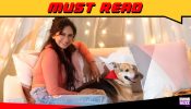 I have always been an animal lover: Akanksha Chamola of Kaise Mujhe Tum Mil Gaye