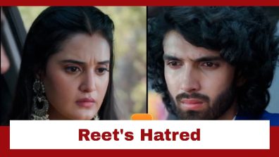 Jaane Anjaane Hum Mile Upcoming Twist: OMG!! Reet claims to hate Raghav; Raghav gets shocked