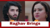 Jaane Anjaane Hum Mile Upcoming Twist: Raghav brings Neeta home; reminds her of his happy childhood with her 944900