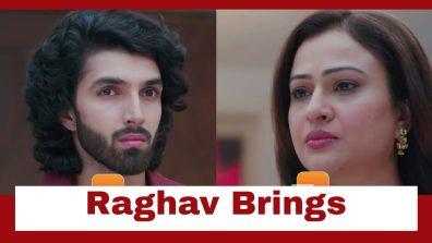 Jaane Anjaane Hum Mile Upcoming Twist: Raghav brings Neeta home; reminds her of his happy childhood with her