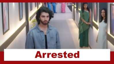 Jaane Anjaane Hum Mile Upcoming Twist: OMG!! Raghav gets arrested; Reet vows to get to the truth
