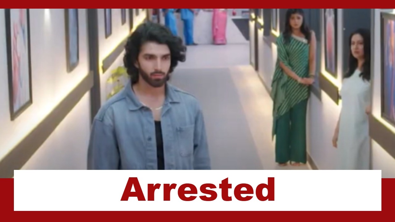 Jaane Anjane Hum Mile Upcoming Twist: OMG!! Raghav gets arrested; Reet vows to get to the truth 942986
