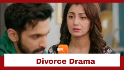Kaise Mujhe Tum Mil Gaye Upcoming Twist: Amruta to divorce Virat; Is it Amruta’s plan to get the truth out?