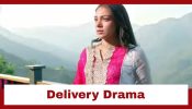 Megha Barsenge Upcoming Twist: OMG!! Megha's delivery to happen in the jungle; Will Arjun save Megha? 943552