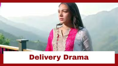 Megha Barsenge Upcoming Twist: OMG!! Megha’s delivery to happen in the jungle; Will Arjun save Megha?