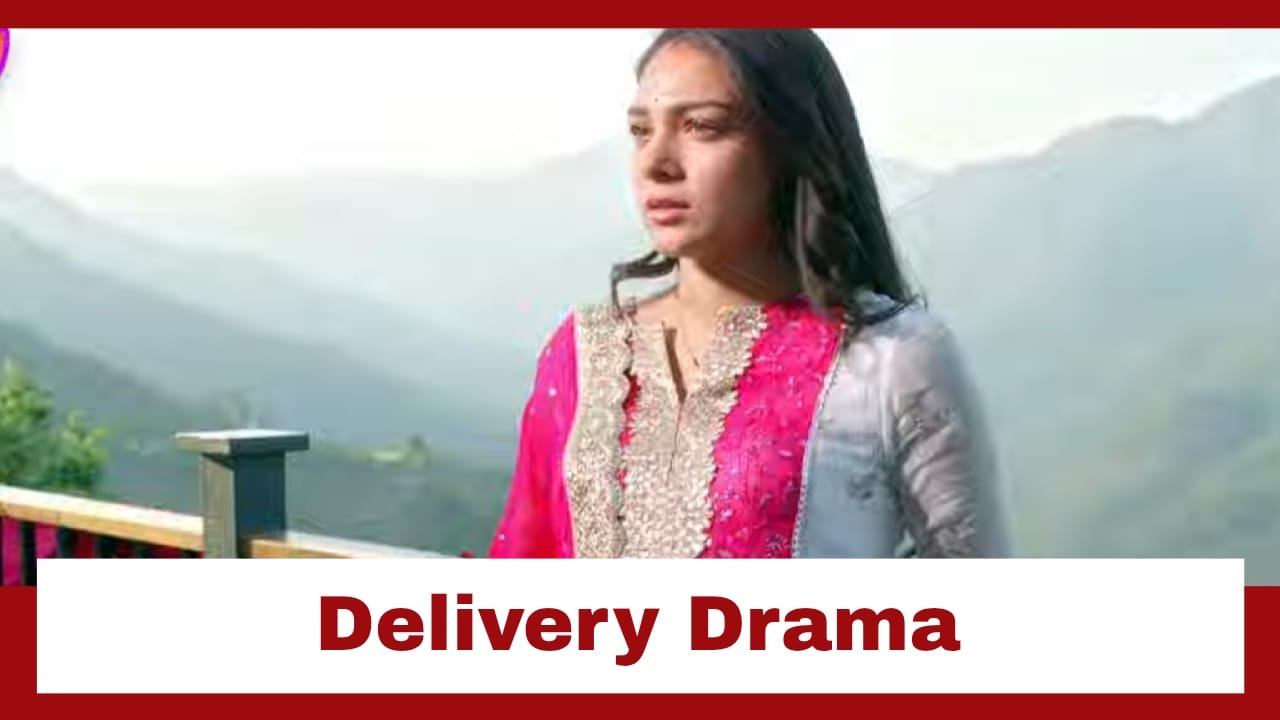 Megha Barsenge Upcoming Twist: OMG!! Megha's delivery to happen in the jungle; Will Arjun save Megha? 943552