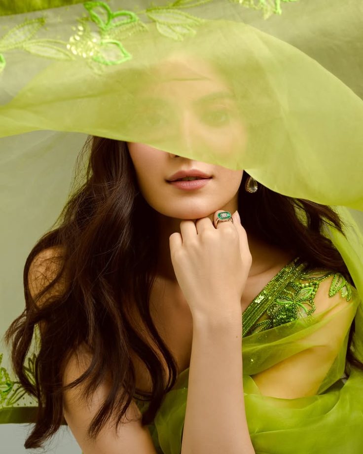 Pratibha Ranta Looks Dreamy in a Green Net Saree 945079