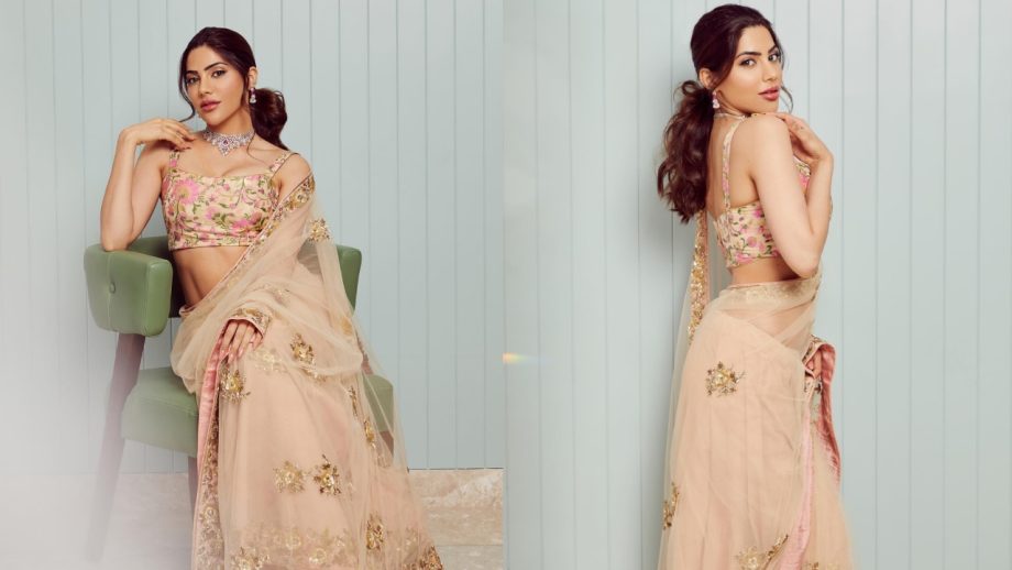 Sheer Sarees Are Stealing the Show: Munmun Dutta, Nikki Tamboli, &  Mouni Roy Nailed the Look 944695